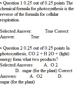 Quiz 7